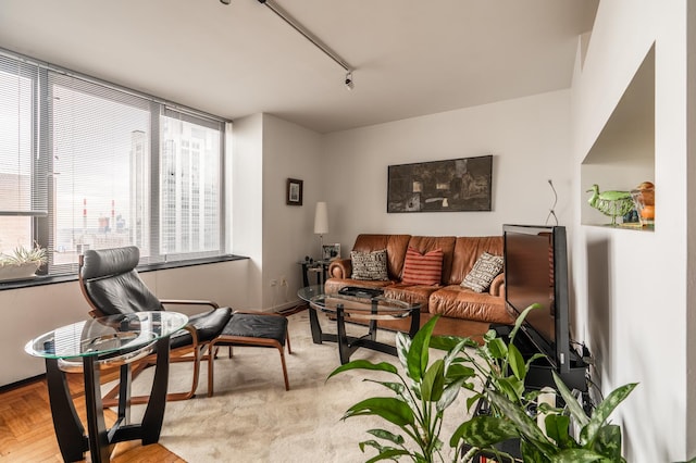 living area with track lighting