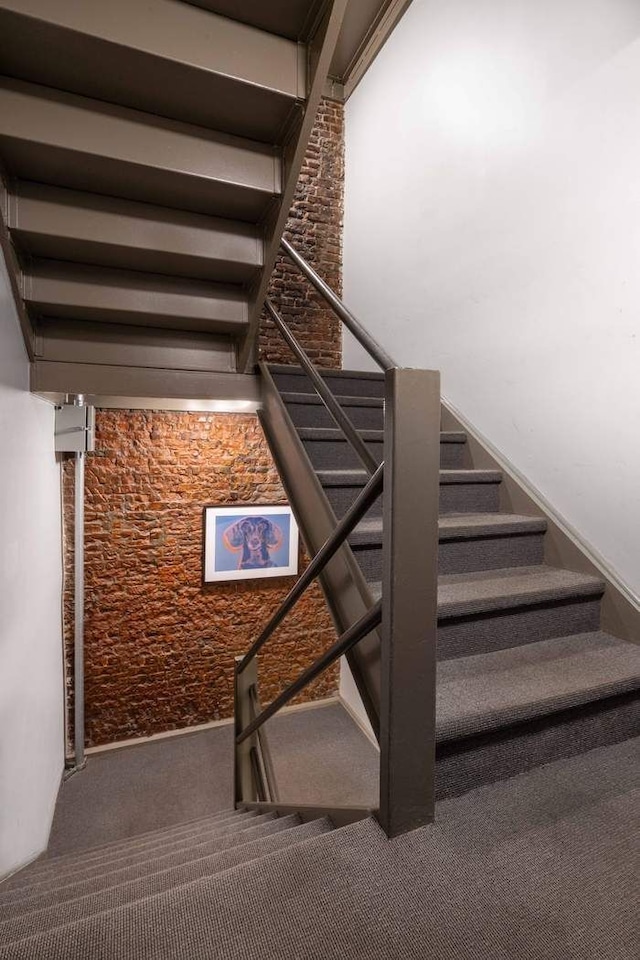 stairs featuring carpet floors
