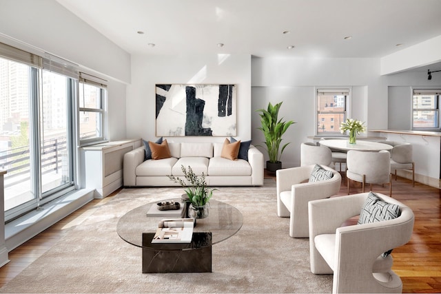 living area with wood finished floors