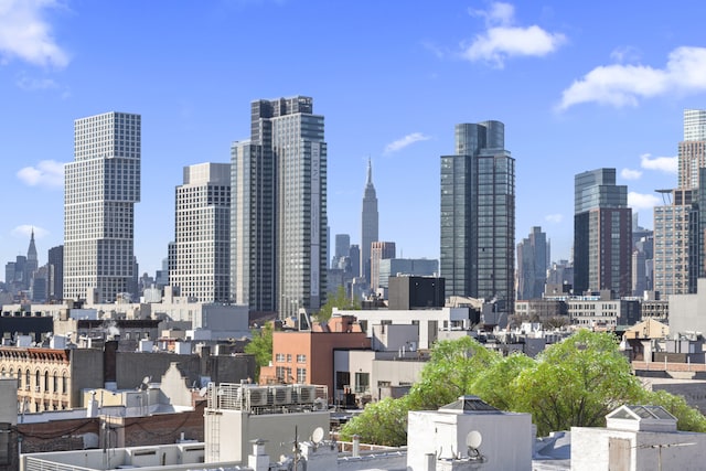 205 Java St Unit 3A, New York City, NY 11222 - view of city skyline