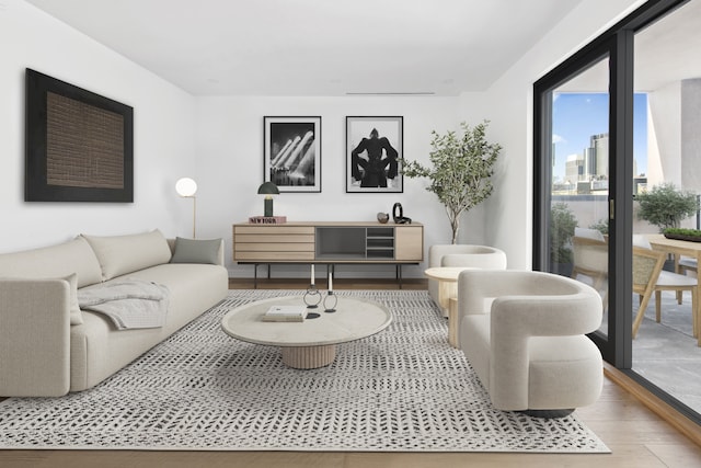 living area featuring wood finished floors