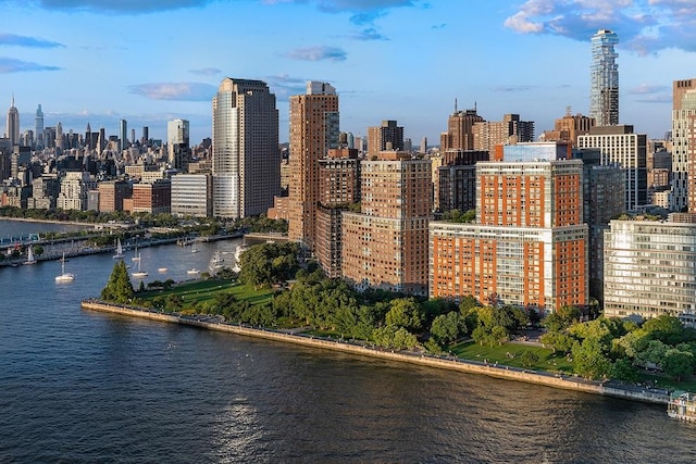 property's view of city featuring a water view