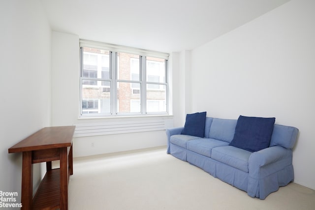 view of carpeted living area