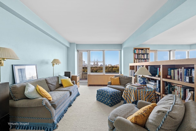 view of carpeted living area