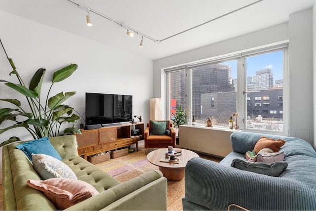 living area featuring track lighting