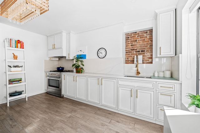 kitchen featuring light countertops, high end range, light wood finished floors, and a sink