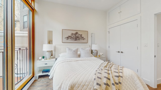 bedroom featuring a closet, multiple windows, and wood finished floors