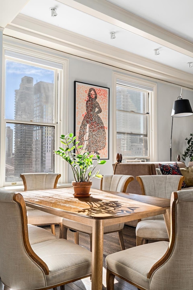 dining area featuring a view of city