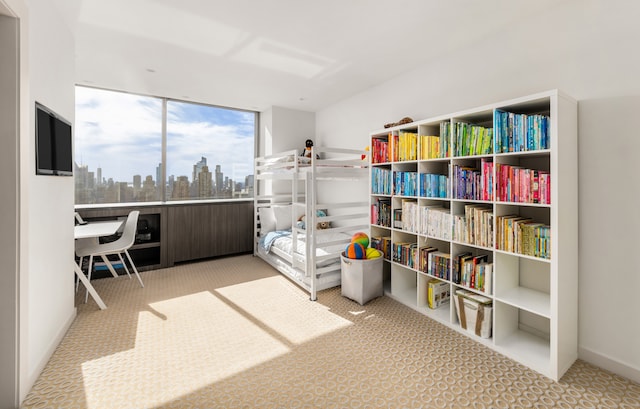 interior space featuring carpet flooring