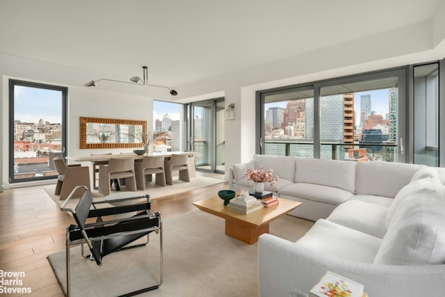 living area with light wood finished floors and a city view