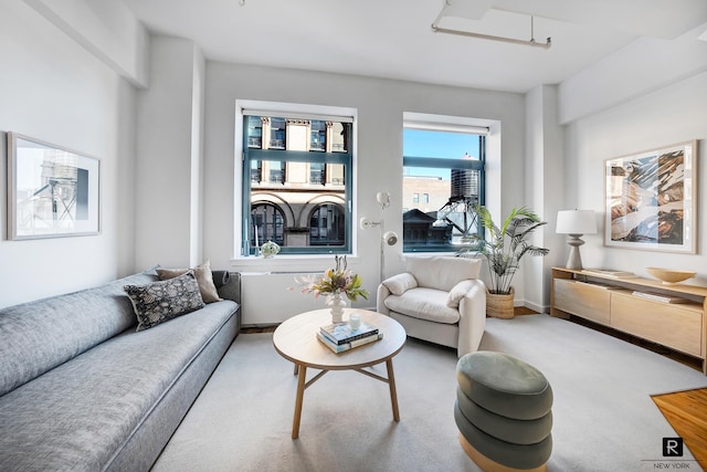 living room featuring carpet flooring