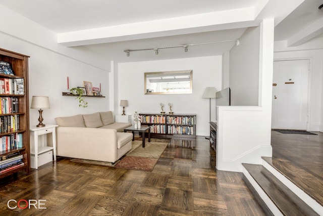 living area featuring rail lighting