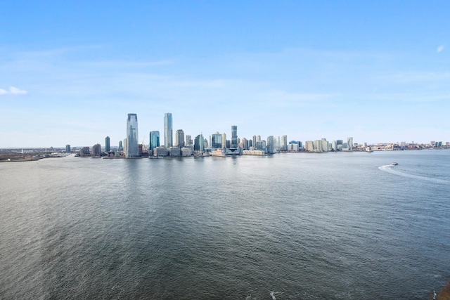water view with a view of skyline