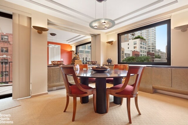 carpeted dining room with a tray ceiling and a view of city