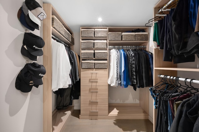 spacious closet featuring wood finished floors