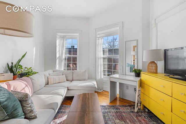 living room featuring wood finished floors