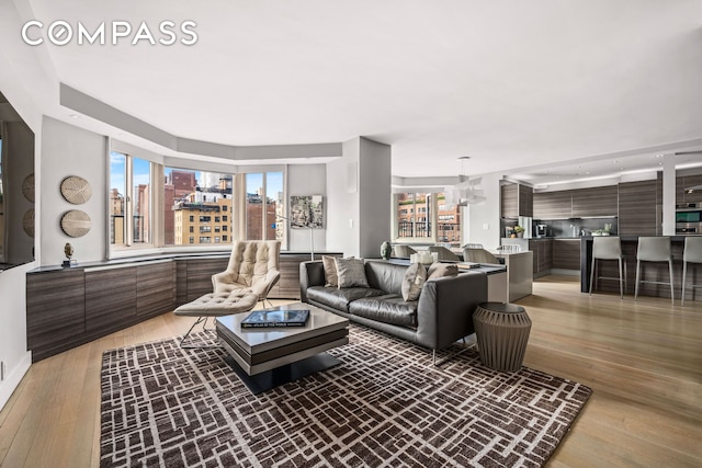 301 E 78th St Unit 16Ef, New York City, NY 10075 - living area featuring healthy amount of natural light and light wood-style flooring