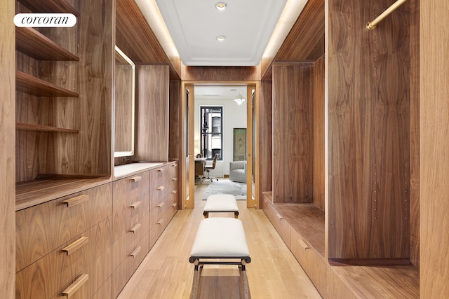 walk in closet with light wood-type flooring