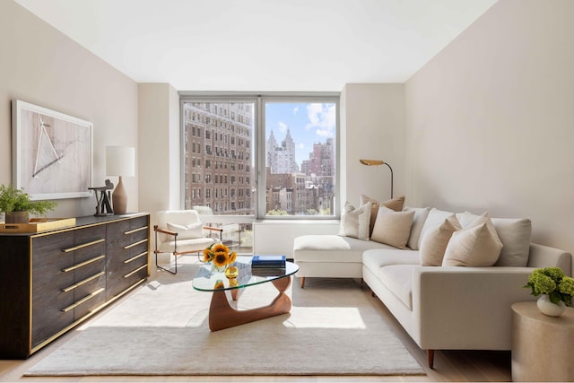 212 W 72nd St Unit 7J, New York City, NY 10023 - living area with a skyline view and wood finished floors
