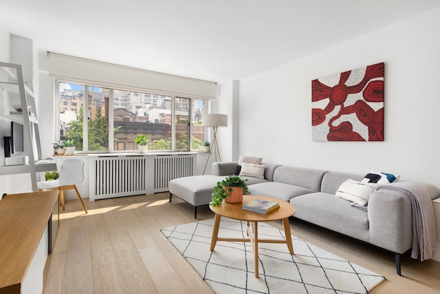 living room featuring radiator heating unit and wood finished floors