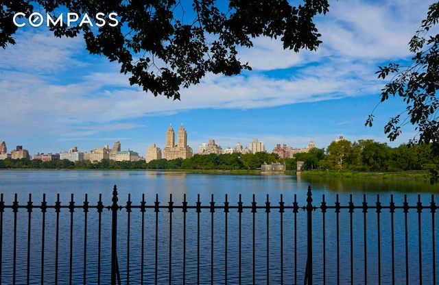 8 E 96th St Unit 7C, New York City, NY 10128 - water view with skyline