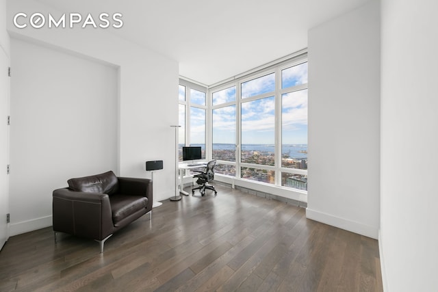 living area featuring a wall of windows, hardwood / wood-style flooring, and baseboards