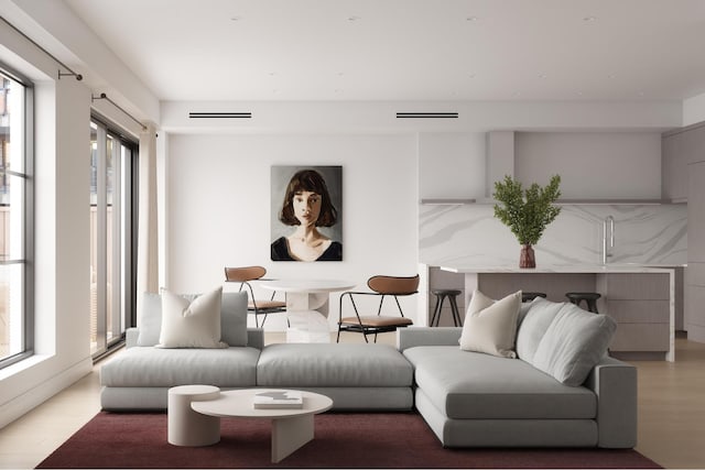 living room with wood finished floors