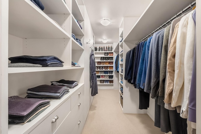 spacious closet featuring light carpet