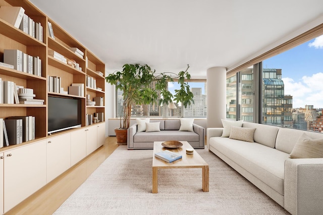 living room with light wood-style flooring and a view of city