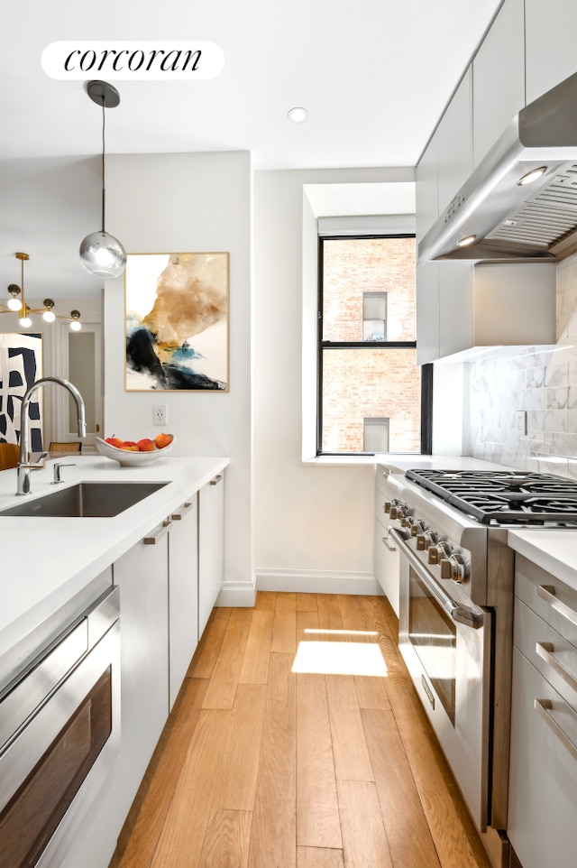 299 Riverside Dr Unit 3C, New York City, NY 10025 - kitchen featuring appliances with stainless steel finishes, under cabinet range hood, a sink, light wood-style floors, and light countertops