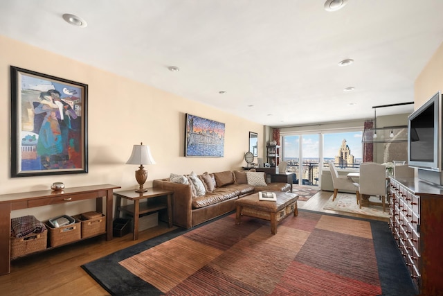 living area with wood finished floors and recessed lighting