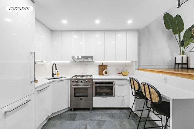 kitchen featuring white cabinets, modern cabinets, appliances with stainless steel finishes, under cabinet range hood, and a sink