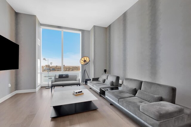 living room with baseboards and wood finished floors