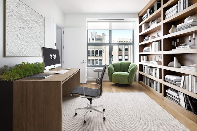 office featuring wood finished floors