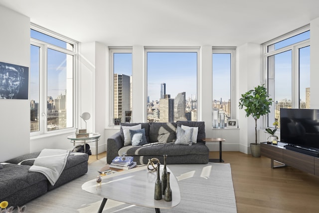 1 Clinton St Unit 19A, New York City, NY 11201 - living room featuring baseboards, a wall of windows, wood finished floors, and a healthy amount of sunlight