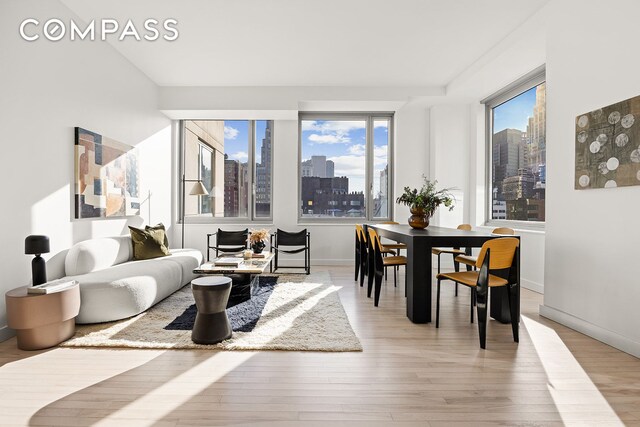 85 W Broadway Unit 14S, New York City, NY 10007 - living room featuring light wood-style flooring, a skyline view, and baseboards