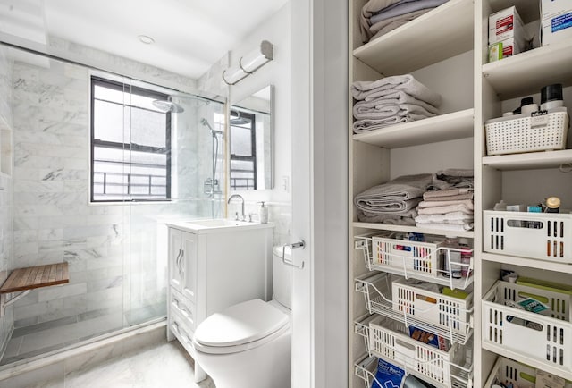 bathroom with a shower stall, toilet, and vanity