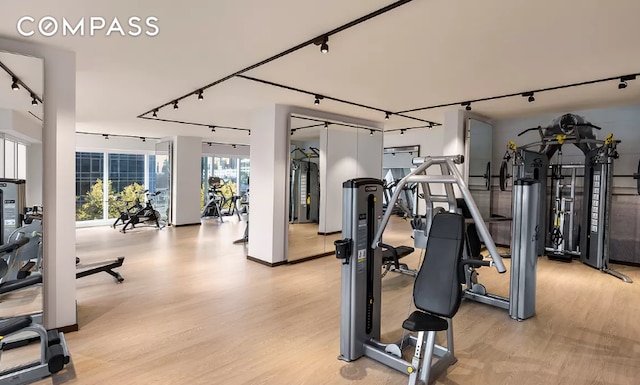 workout area with a wall of windows, light wood-style flooring, and rail lighting