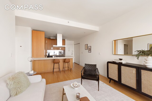 living area featuring light wood finished floors