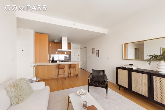 living room featuring light wood-style flooring