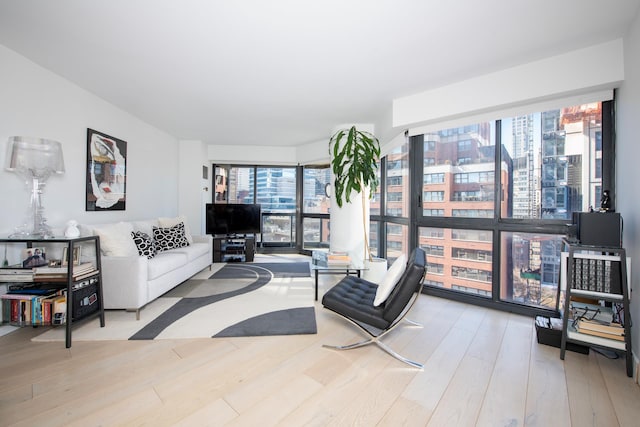 living area featuring wood finished floors