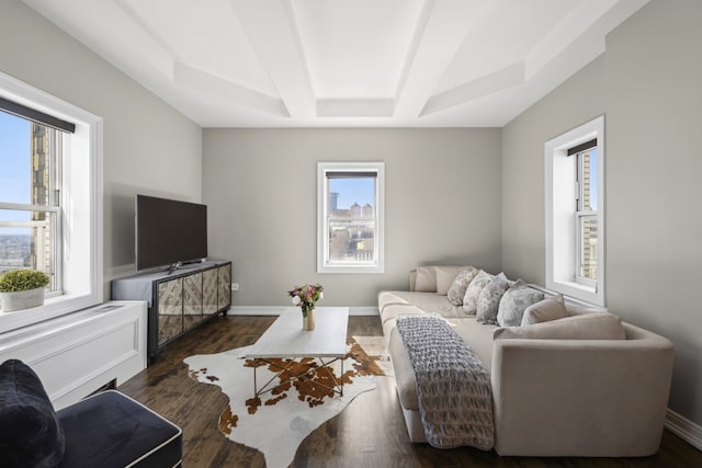 living room with baseboards, a wealth of natural light, and wood finished floors