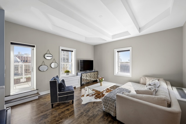 living room featuring baseboards, a raised ceiling, and dark wood-type flooring