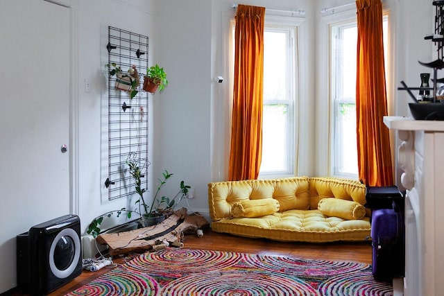 sitting room featuring wood finished floors