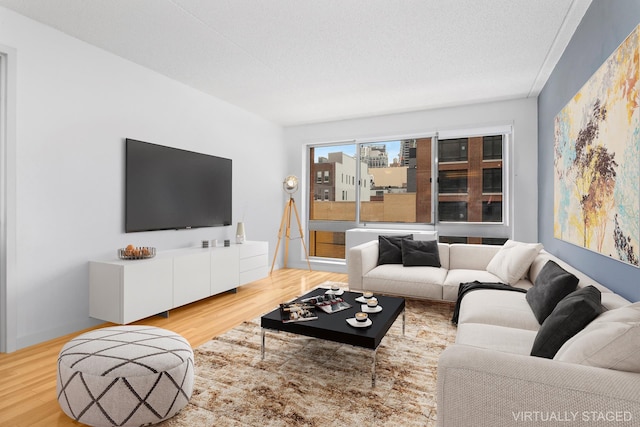 living room featuring a textured ceiling and wood finished floors