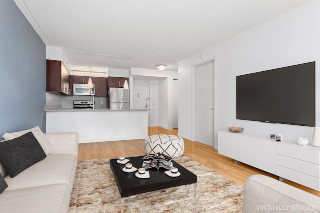 living room with rail lighting and light wood-style floors