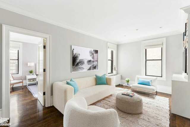 living area featuring dark wood-style floors, baseboards, and ornamental molding