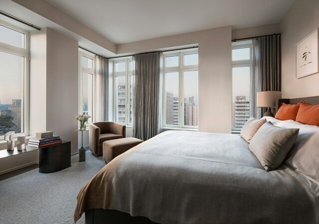 carpeted bedroom featuring a view of city