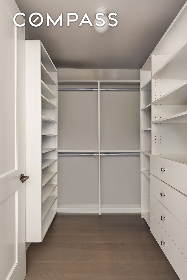 spacious closet with dark wood finished floors