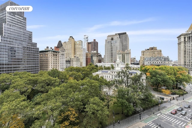 145 Nassau St Unit 8A, New York City, NY 10038 - skyline view